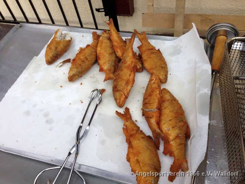 Neckarfisch-Essen 2014